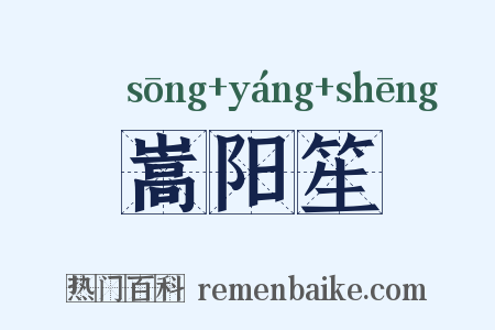 嵩阳笙是什么意思的图片